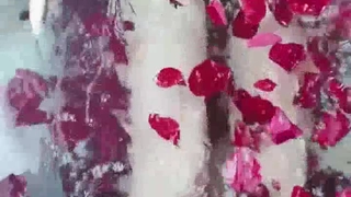 暮光之城图片