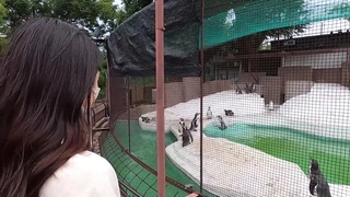 MIAD-920绝顶微乳スレンダーa土屋あさみ