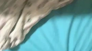 超级白嫩粉笔巨乳美女插穴好生诱惑