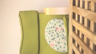 气质女优